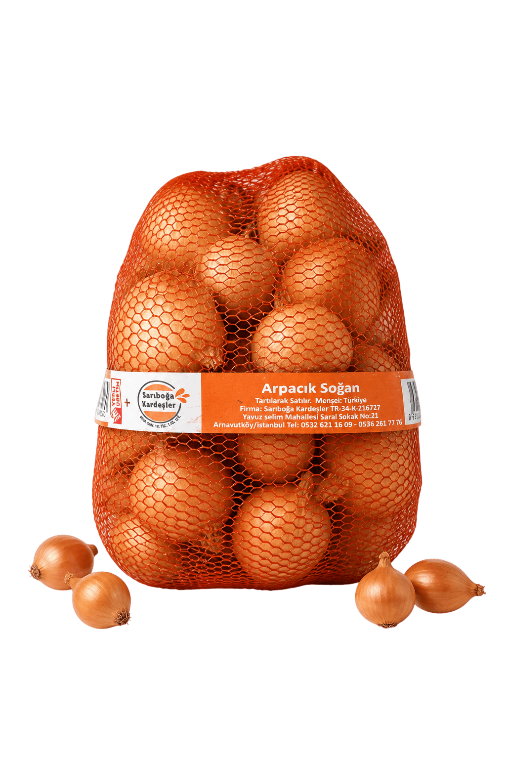 Arpacık Soğan